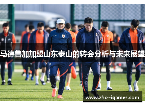 马德鲁加加盟山东泰山的转会分析与未来展望