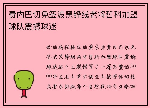 费内巴切免签波黑锋线老将哲科加盟球队震撼球迷